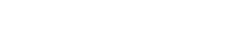Savvy Dealer partner logo